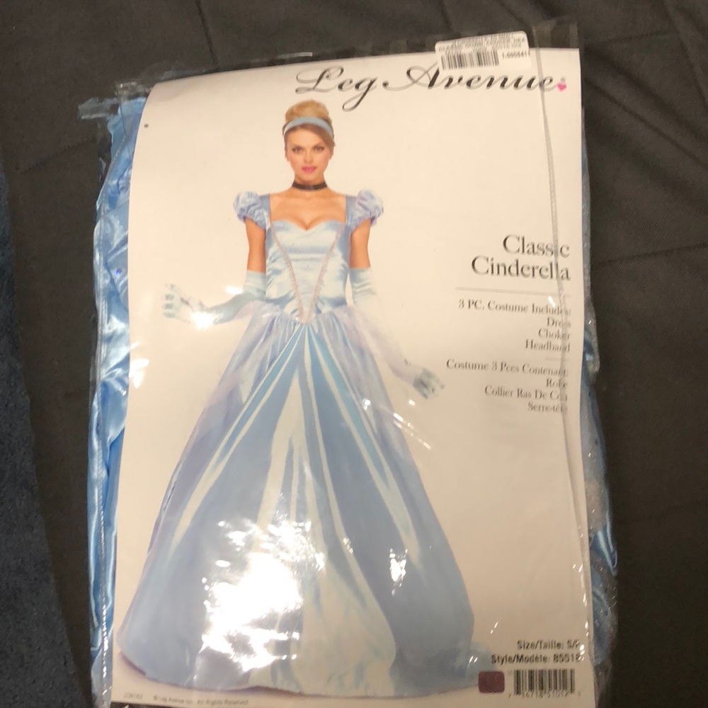 Cinderella Costume